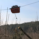 KOE_Forstarbeiten G__fis 17_jpg-1331661697