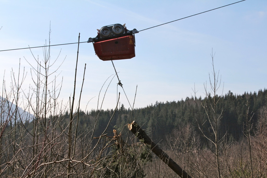 KOE_Forstarbeiten G__fis 17_jpg-1331661697