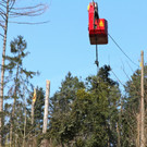 KOE_Forstarbeiten G__fis 19_jpg-1331661717