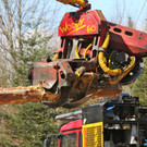 KOE_Forstarbeiten G__fis 25_jpg-1331661779
