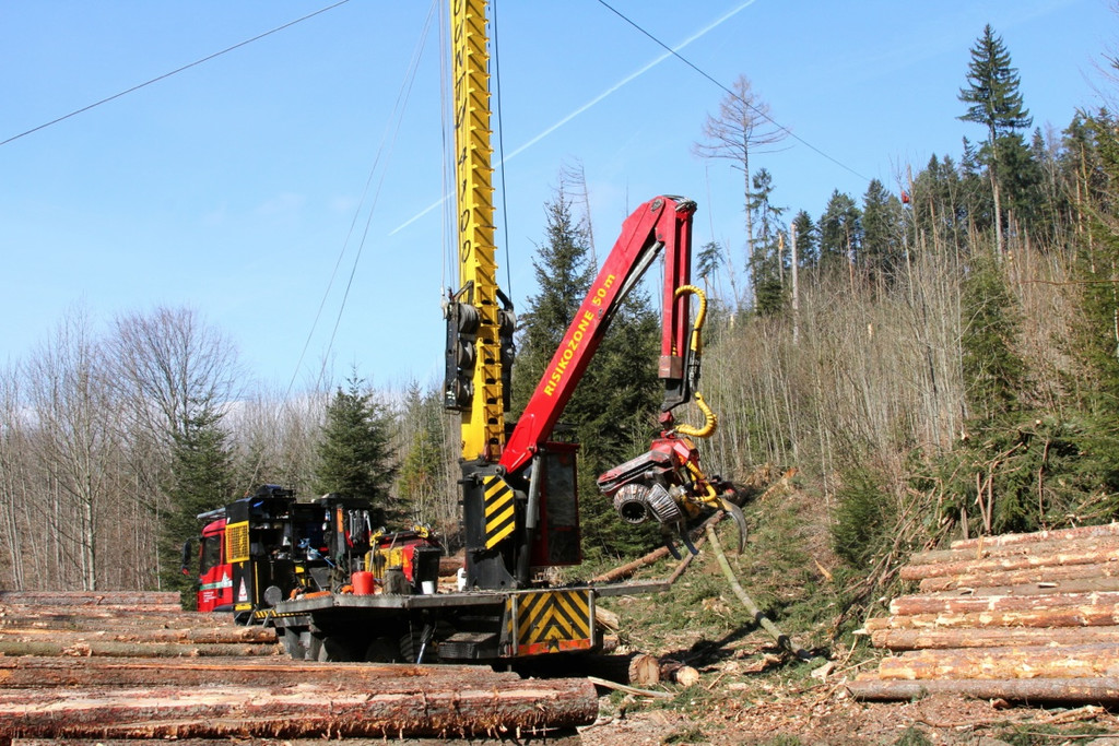 KOE_Forstarbeiten G__fis 26_jpg-1331661789
