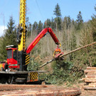 KOE_Forstarbeiten G__fis 28_jpg-1331661812