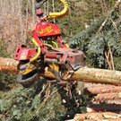 KOE_Forstarbeiten G__fis 29_jpg-1331661826