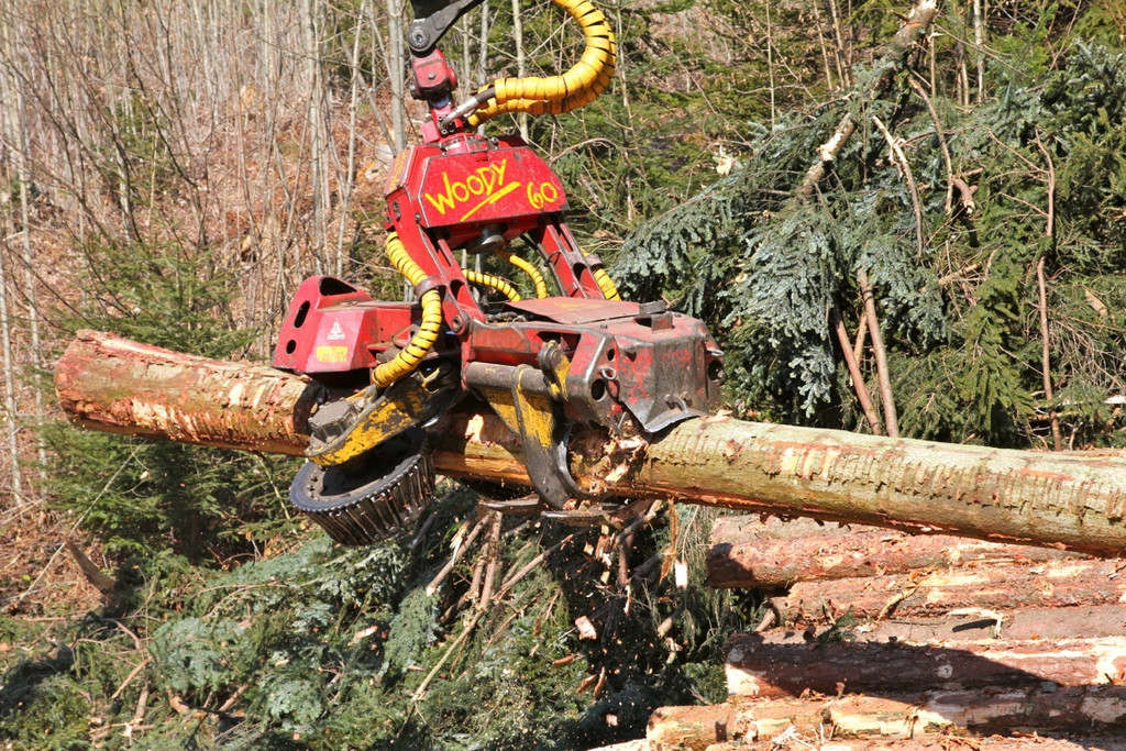 KOE_Forstarbeiten G__fis 29_jpg-1331661826