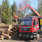 KOE_Forstarbeiten G__fis 30_jpg-1331661839