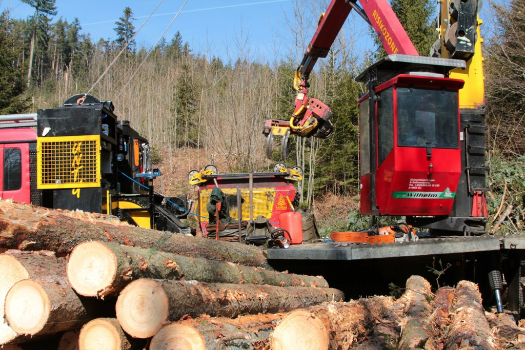 KOE_Forstarbeiten G__fis 31_jpg-1331661849