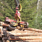 KOE_Forstarbeiten G__fis 33_jpg-1331661872