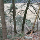 KOE_Forstarbeiten G__fis 36_jpg-1331661899