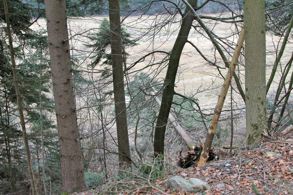 KOE_Forstarbeiten G__fis 36_jpg-1331661899