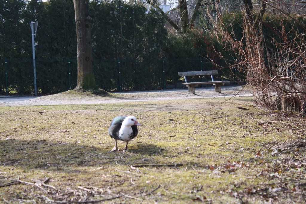 IMG_2564.JPG