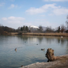 IMG_2567.JPG