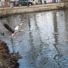 IMG_2568.JPG