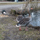 IMG_2569.JPG