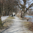 IMG_2576.JPG