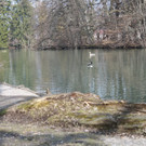 IMG_2590.JPG