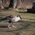 IMG_2593.JPG