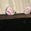 DSC06545.JPG