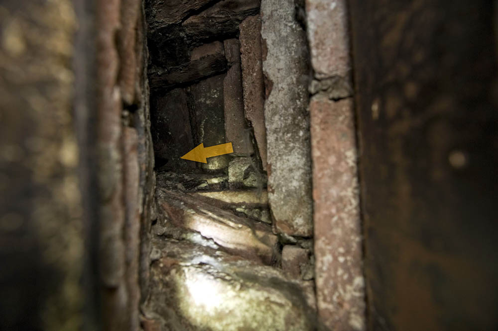 20120313 Tierrettung Baden 02.jpg