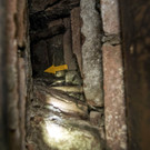 20120313 Tierrettung Baden 02.jpg