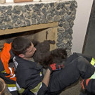 20120313 Tierrettung Baden 11.JPG