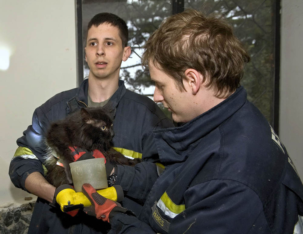 20120313 Tierrettung Baden 14.JPG