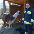 14032012_Lamas Payerbach _16_.jpg