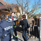 14032012_Lamas Payerbach _3_.jpg