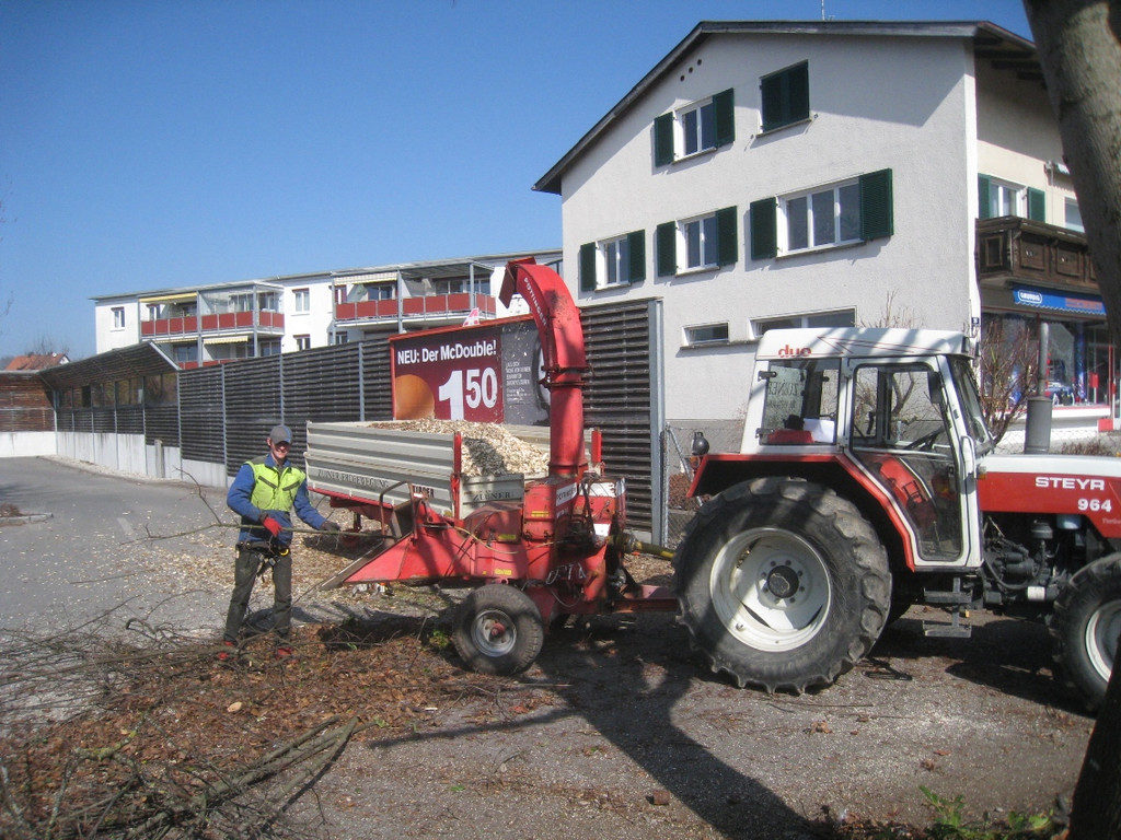 Baumschneidaktion ZUSSNER 13-03-2012 _2__jpg-1331745241
