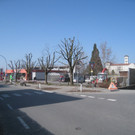 Baumschneidaktion ZUSSNER 13-03-2012 _10__jpg-1331745280