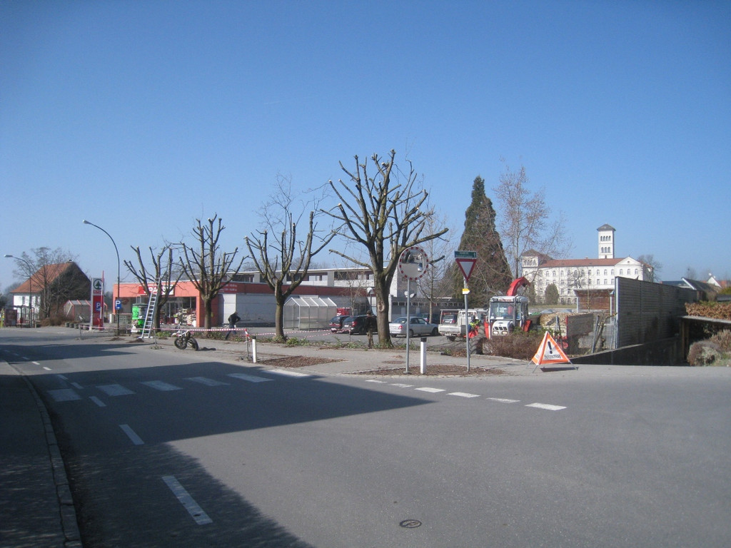Baumschneidaktion ZUSSNER 13-03-2012 _10__jpg-1331745280