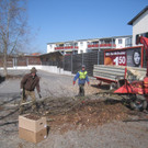 Baumschneidaktion ZUSSNER 13-03-2012 _3__jpg-1331745247