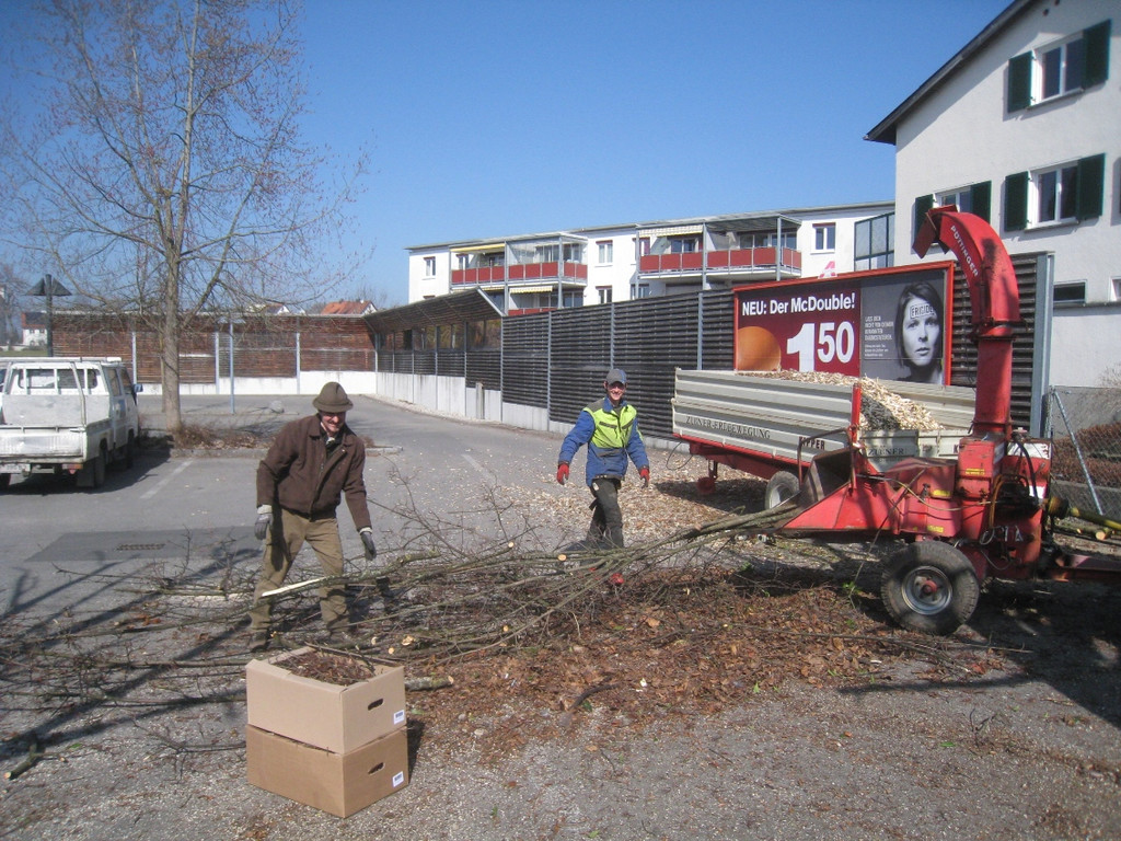 Baumschneidaktion ZUSSNER 13-03-2012 _3__jpg-1331745247