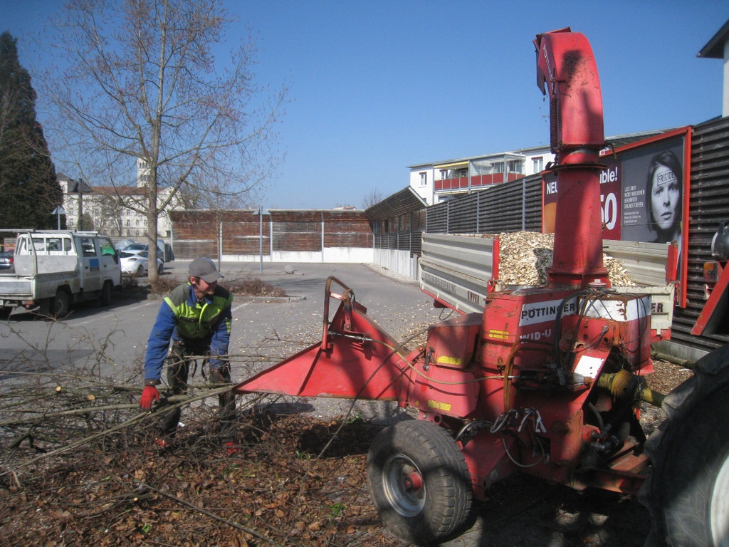 Baumschneidaktion ZUSSNER 13-03-2012 _4__jpg-1331745252