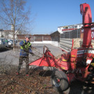 Baumschneidaktion ZUSSNER 13-03-2012 _5__jpg-1331745257
