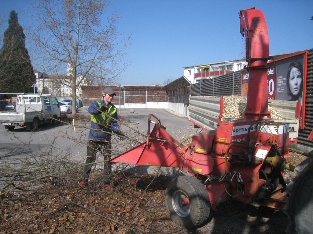 Baumschneidaktion ZUSSNER 13-03-2012 _5__jpg-1331745257