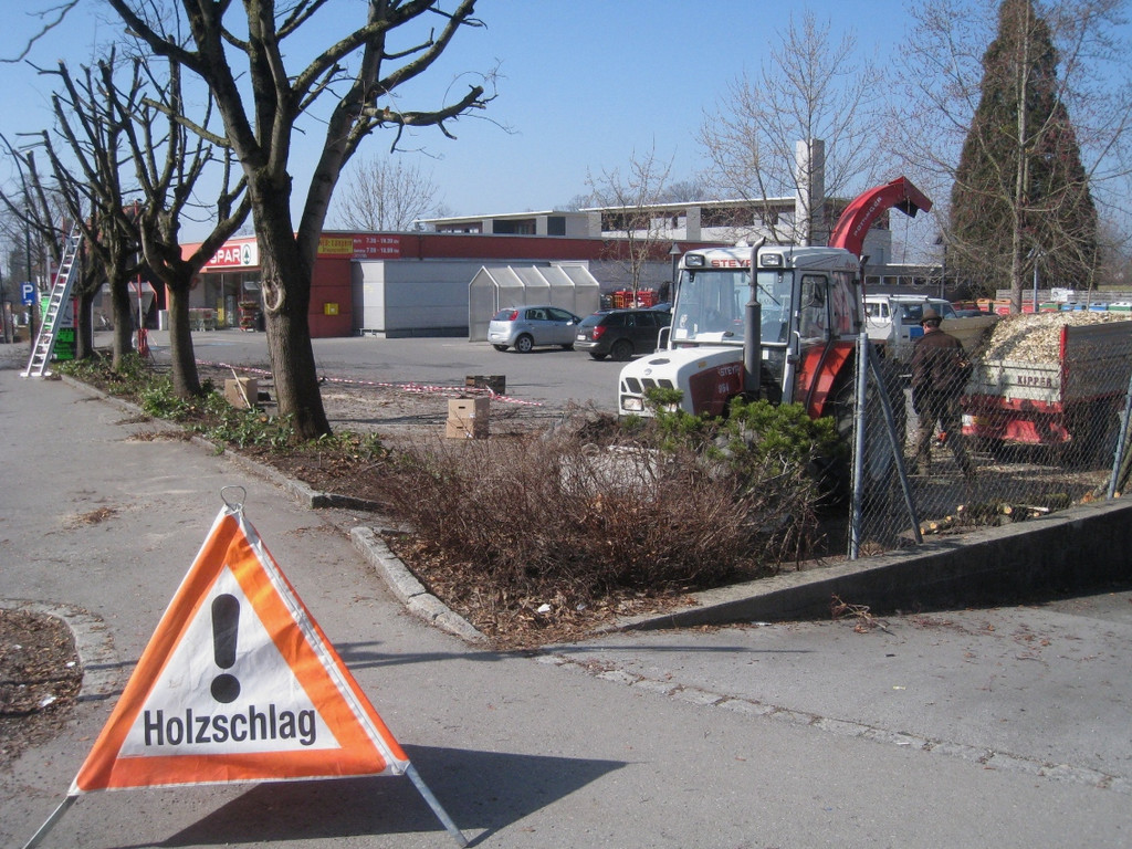 Baumschneidaktion ZUSSNER 13-03-2012 _9__jpg-1331745276