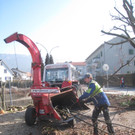 Baumschneidaktion ZUSSNER 13-03-2012 _6__jpg-1331745262