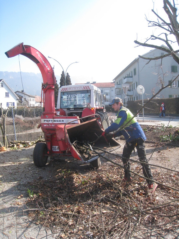 Baumschneidaktion ZUSSNER 13-03-2012 _6__jpg-1331745262