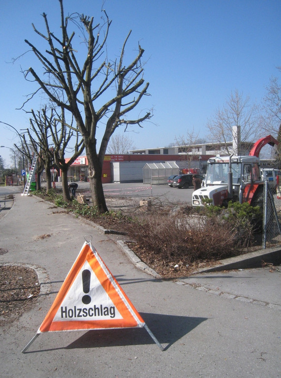 Baumschneidaktion ZUSSNER 13-03-2012 _12__jpg-1331745289