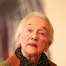 MarionettenWagner28021203.jpg