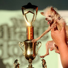 DAB1166-20110625.jpg