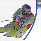IBD0479-20120315.jpg