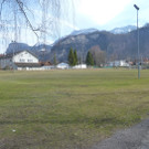 Collini2a_jpg-1331818746