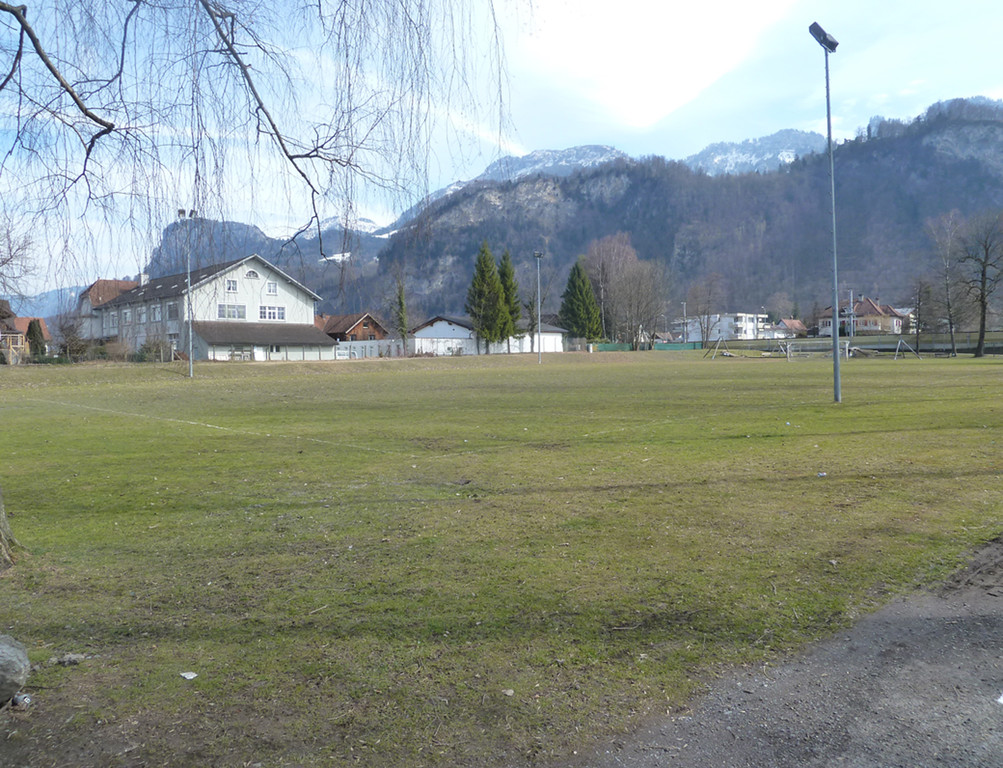 Collini2a_jpg-1331818746