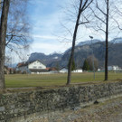 Collini2c_jpg-1331818775