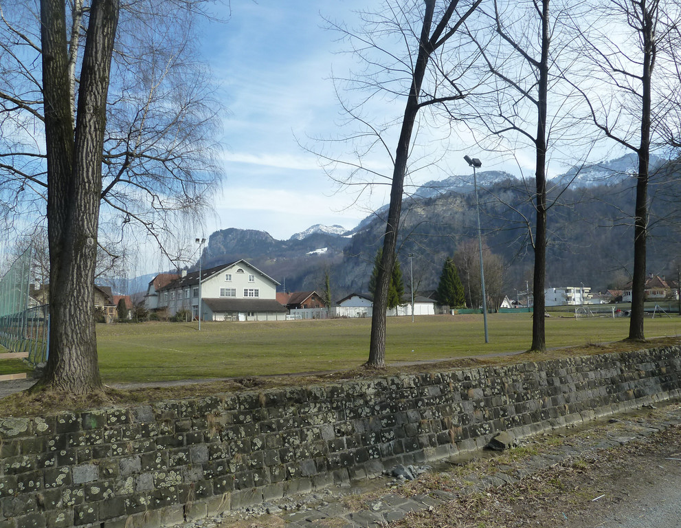 Collini2c_jpg-1331818775