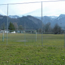 Collini2d_jpg-1331818791