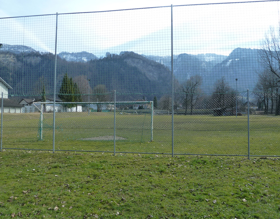 Collini2d_jpg-1331818791