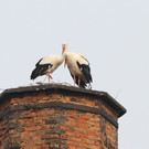 2012-03-04_0070_10.jpg
