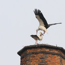 2012-03-04_0092_10.jpg